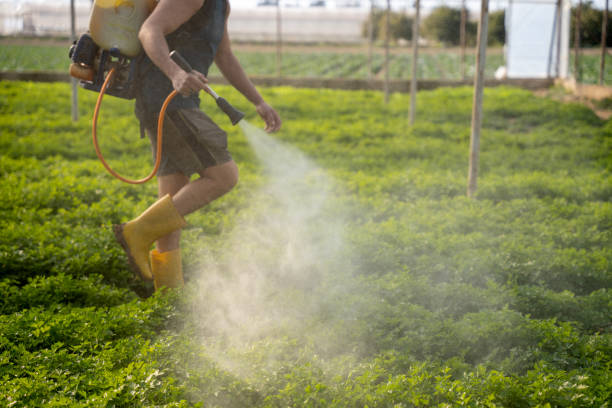 Lemon Grove, CA Pest Control Company