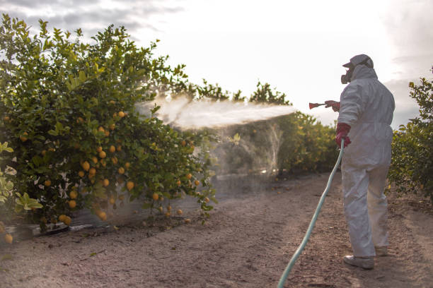 Best Pest Control for Businesses  in Lemon Grove, CA