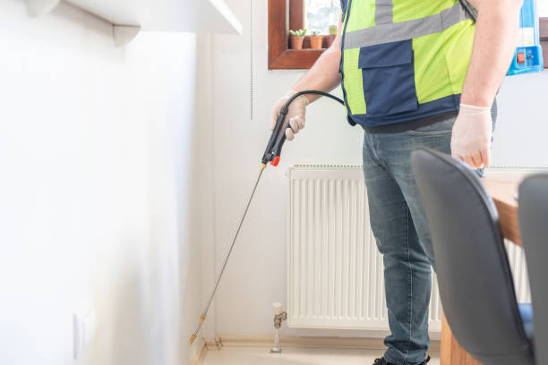 Best Pest Control Near Me  in Lemon Grove, CA