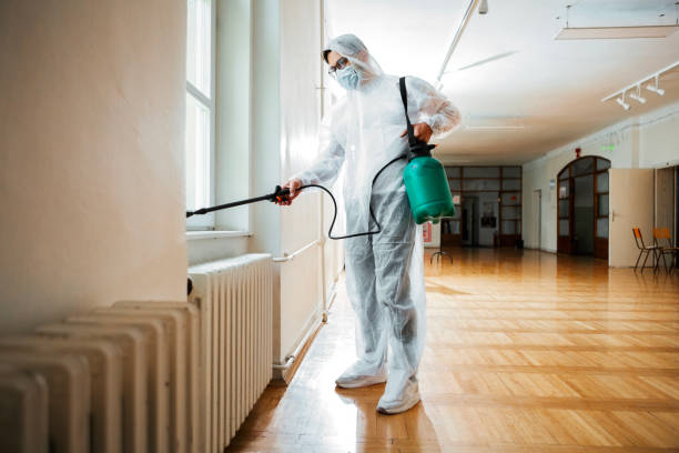 Best Pest Control Near Me in Lemon Grove, CA